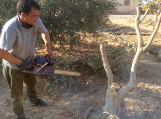 خدمات زراعية / الاردن سحاب