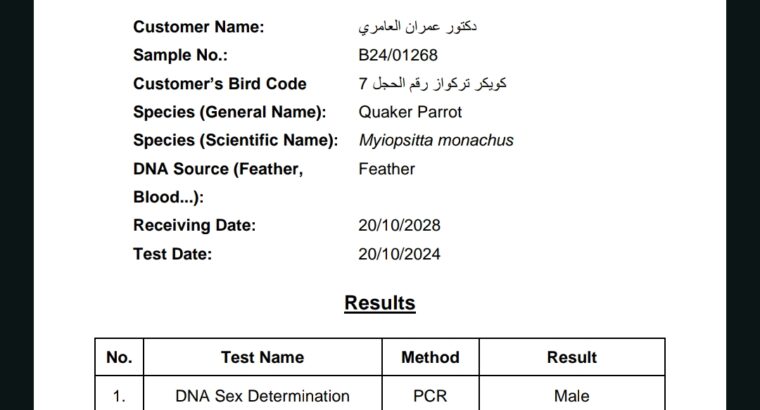 ببغاء كويكر الراهب اليف جدآ